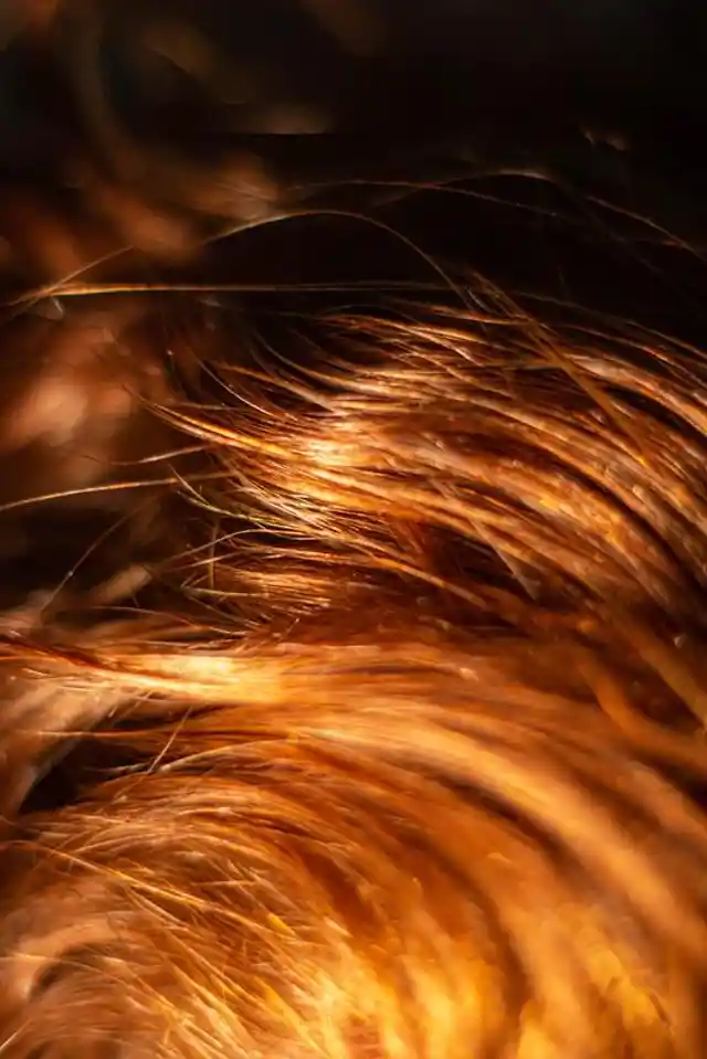 4 Simple Tips to Keep Your Hair in The Best Condition