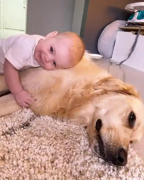 This Adorable Dog Turns In To A Big Brother